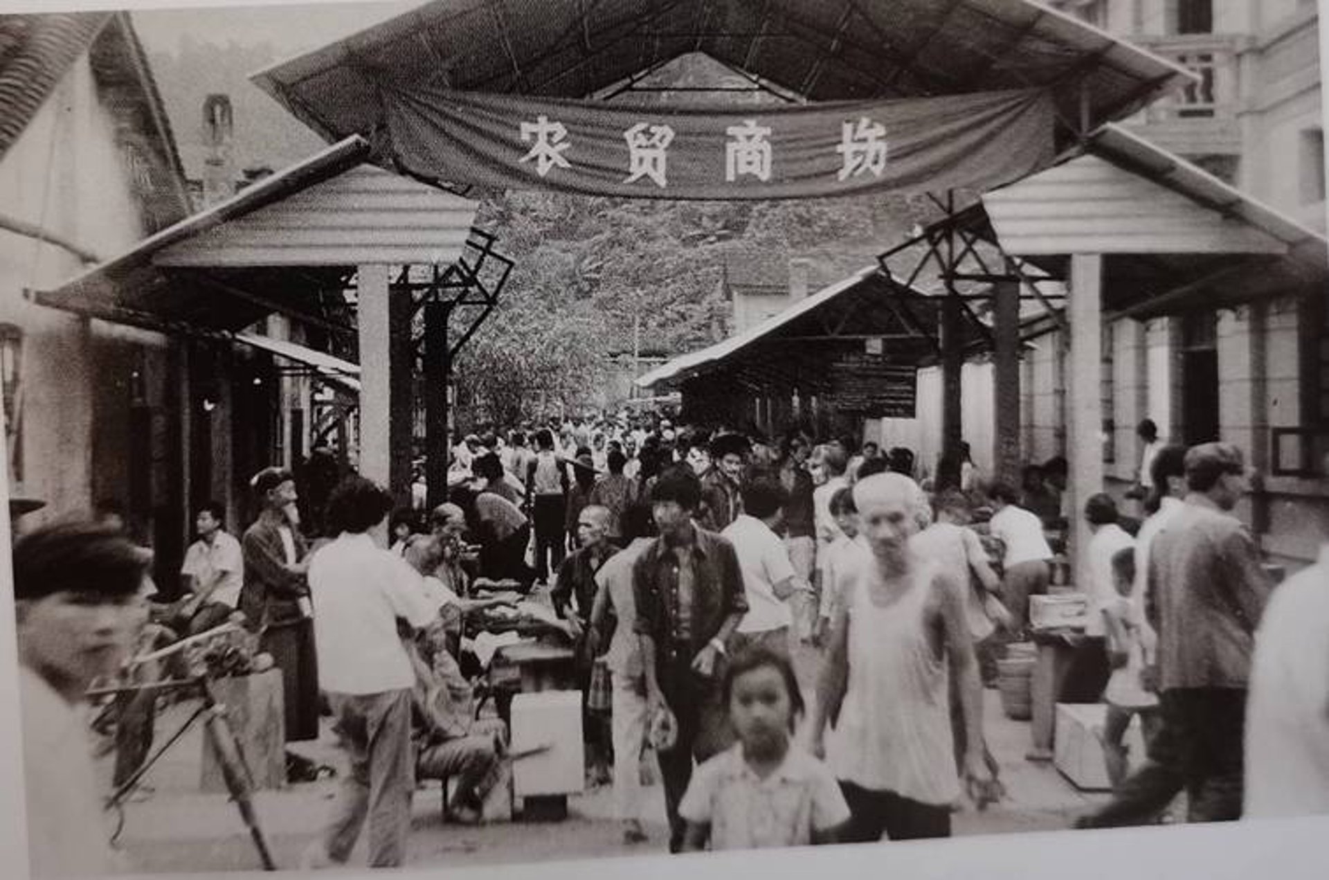 东靖龙雨商贸